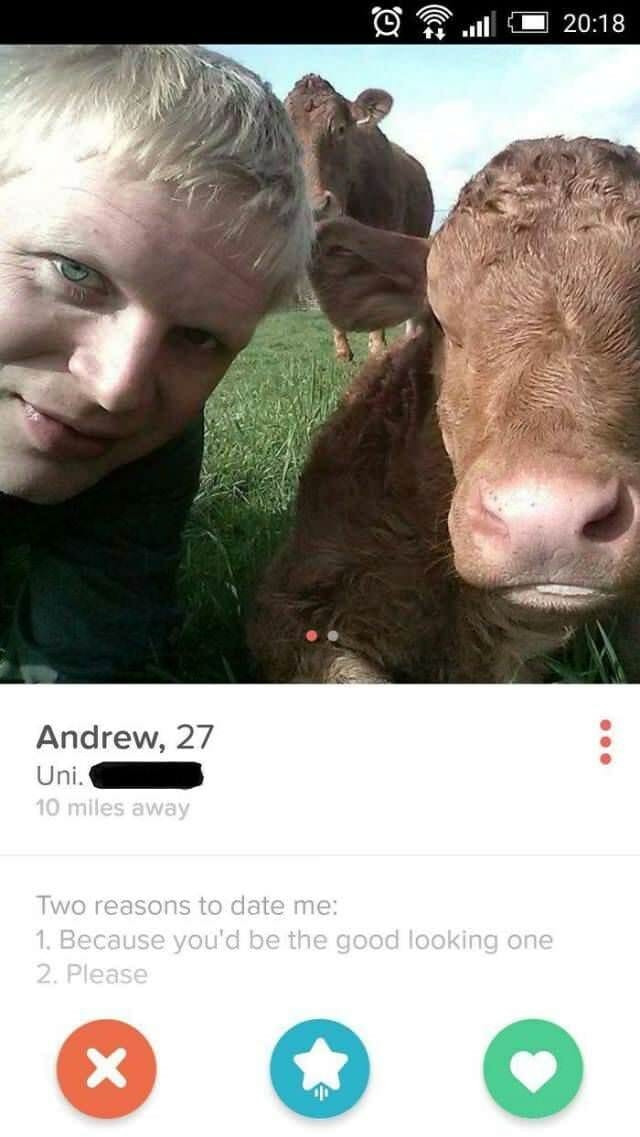 meme -of-andrew-with-a-cow-and-saying-she-should-date-him-because-she-woudl-be-the- good-looking-one - Ebuyer Blog